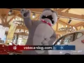 Hoehn Honda - Carlsbad California