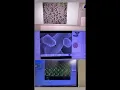 Imaging at UC Merced IMF