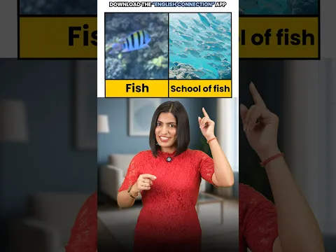 Stop Saying “Group”! ❌ Learn Animal Collective Nouns | English Connection #shorts