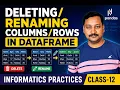 Deleting and Renaming Columns and Rows in DataFrame del statement drop and rename function