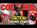CODE RED Tactical Bunny Down GSD - Moose