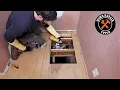 Subfloor Repair Mistakes to Avoid Don t Let Your Floors FAIL