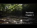 The Book of Numbers Chapter 2 - New King James Version NKJV