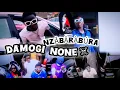 Lagu NZÅBÂRÀBÚRA _-_DAMOGI_NONE (official video audio)