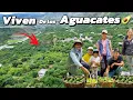 Lagu Viven de los AGUACATES 🥑en su finca  lo tienen todo 