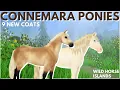 Lagu Catching ALL The NEW CONNEMARA COATS in WILD HORSE ISLANDS on ROBLOX
