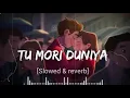 Tu Mori Duniya [Slowed & reverb] Kuldeep pattnaik | Lofi Song | Tu Mori Duniya Odia Song