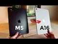 M5 iPad Pro vs iPad 11 - Which Should You Buy in 2026