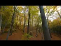Download Lagu Indila - Feuille D'Automne [HUN, ENG, FR SUB] (Unofficial Video) 1080p 60fps