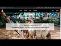 Pawsome Pet Adoption Website Using HTML CSS JavaScript College Project Dripifyco