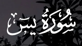 سورة يس كاملة القارئ أحمد خضر Surah Yaseen Ahmed Khedr  سورة يس كاملة القارئ أحمد خضر Surah Yaseen Ahmed Khedr