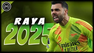 David Raya 2024 25 The Stopper Impossible Saves Best Skills FHD 
