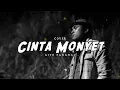 Download Lagu LAGU MANADO CINTA MONYET - SUGITO PANAHAL ( COVER )