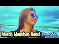 Download Lagu MERAH MENAHAN BENCI (Cover : Oliver Siki)