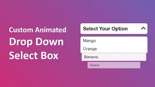 Custom Animated Select Menu Using HTML CSS JavaScript