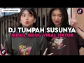 Download Lagu DJ TUMPAH TUMPAH TUMPAH SUSUSNYA CAKEP TAPI SAYANG JADI BEBAN KELUARGA JEDAG JEDUG VIRAL TIKTOK