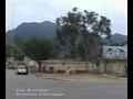 MIS HARAPOS ÑANCAHUAZÚ