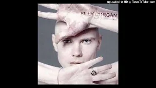 Download Billy Corgan - To Love Somebody MP3