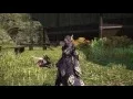 FFXIV High Allagan Black Mage
