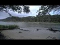 Estuaries Where the River Meets the Sea
