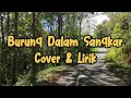 Download Lagu Burung Dalam Sangkar - Emilia Contessa || Cover Lody Tambunan