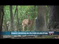 Roanoke Considering Multi-Part Approach to Reduce Deer Population
