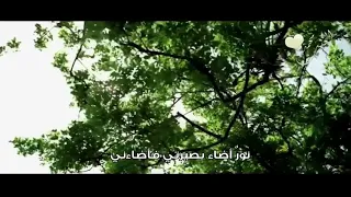 نشيد نور اضاء بصيرتي دندنها