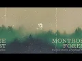 Butcher Brown - Montrose Forest feat. Nicholas Payton (Official Audio)