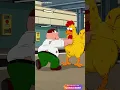 Peter Picked The Wrong Fight Then The Chicken Snapped
