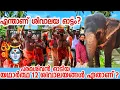 Lagu ശിവാലയ ഓട്ടം | Shivalaya Ottam |പരമശിവൻ ഓടിയ 🔱 യഥാർത്ഥ 12  ശിവാലയം ക്ഷേത്രങ്ങൾ ഏതെല്ലാമാണ് ?