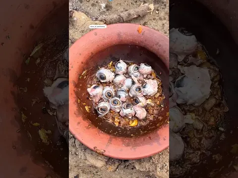 ஆட்டுக்கண்ணையும் Fry பண்ணுவாங்களா? 😳😂🇧🇩 | Bangladesh Street Food | Voice of Santhoshvj#shorts