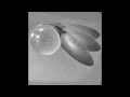William Cas - Paved In Gold