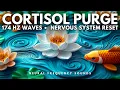 Lagu 174 Hz • Nervous System Reset 🧬 Release Anxiety, Pain \u0026 Inner Tension |  Meditation Music