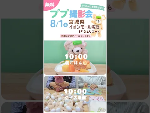 ぬいぐるみと作者の宮城イベント前のsetlog