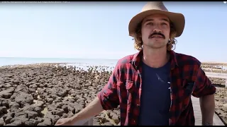 Sharks, Kangaroos & Campfires (La Vaga Goes Bush) – Part 2