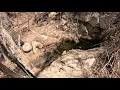 Download Lagu REVIEWING THE OLHO D'ÁGUA DA SERRA IN THE DRIEST PERIOD OF THE YEAR