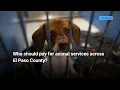Who should pay for animal services across El Paso County