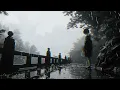 The Jar (Official Lyrics)
