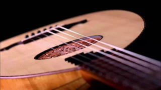 أديب الدايخ وتلطف واجري ذكري 