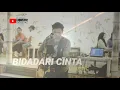 Download Lagu BIDADARI CINTA - LIVE AKUSTIK | LIQUSTIC