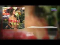 Curándote - Greeicy