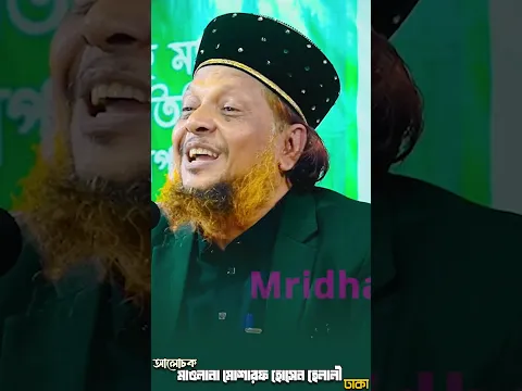 মাওলানা মোশারফ হোসেন হেলালী, Waz