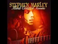 Stephen Marley - You're Gonna Leave (Acoustic)