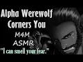 Download Lagu [M4M] Werewolf Alpha Corners You (ASMR), (M4M ASMR), (WEREWOLF ASMR)