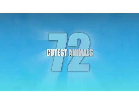 72 Cutest Animals - Trailer