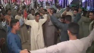 الشطب كرم الديب 