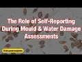 Can A Questionnaire About Mould Help Explain Some Of The Risks