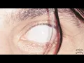 Armlock - "April" (Official Audio)