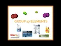 Elements in Group 17 KSSM