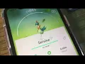 Full shiny snivy evolution line